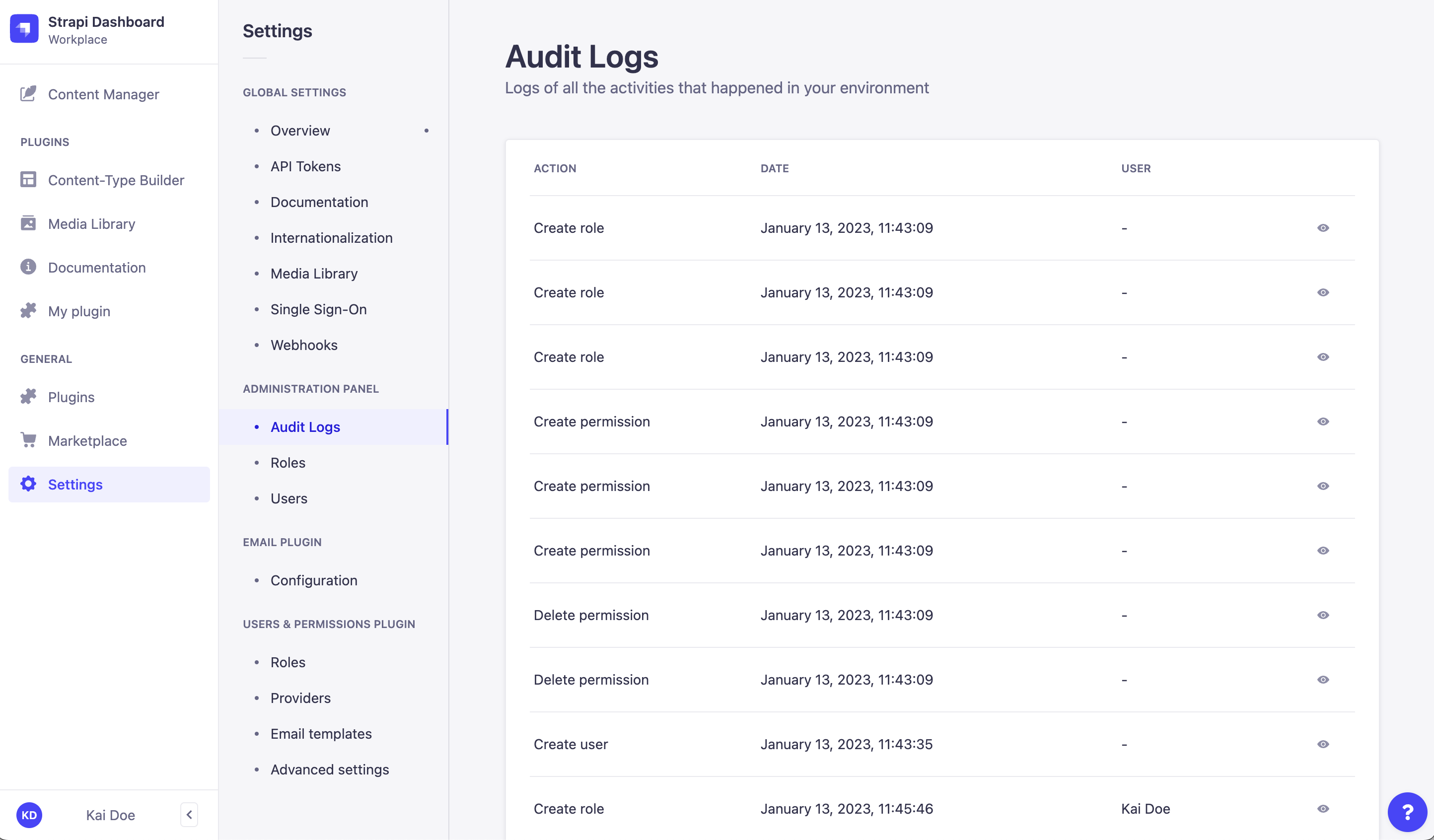 Audit Logs panel